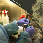How testing infrastructure drives accuracy in lab-tested THC vape output?
