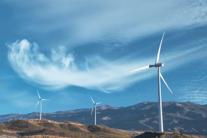 Wind mills, energy, clouds — The Role of AI in Environmental Sustainability: Tech for a Greener Future