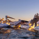 Dawn of the Delta: The Best Proven Gamescom Highlights